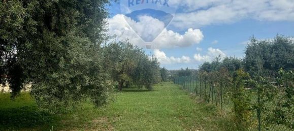 1-Zimmer Grundstück in Syracuse, Italy, Nr. 246295 3