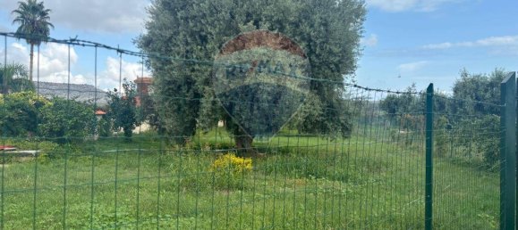 1-Zimmer Grundstück in Syracuse, Italy, Nr. 246295 10