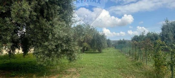 1-Zimmer Grundstück in Syracuse, Italy, Nr. 246295 7