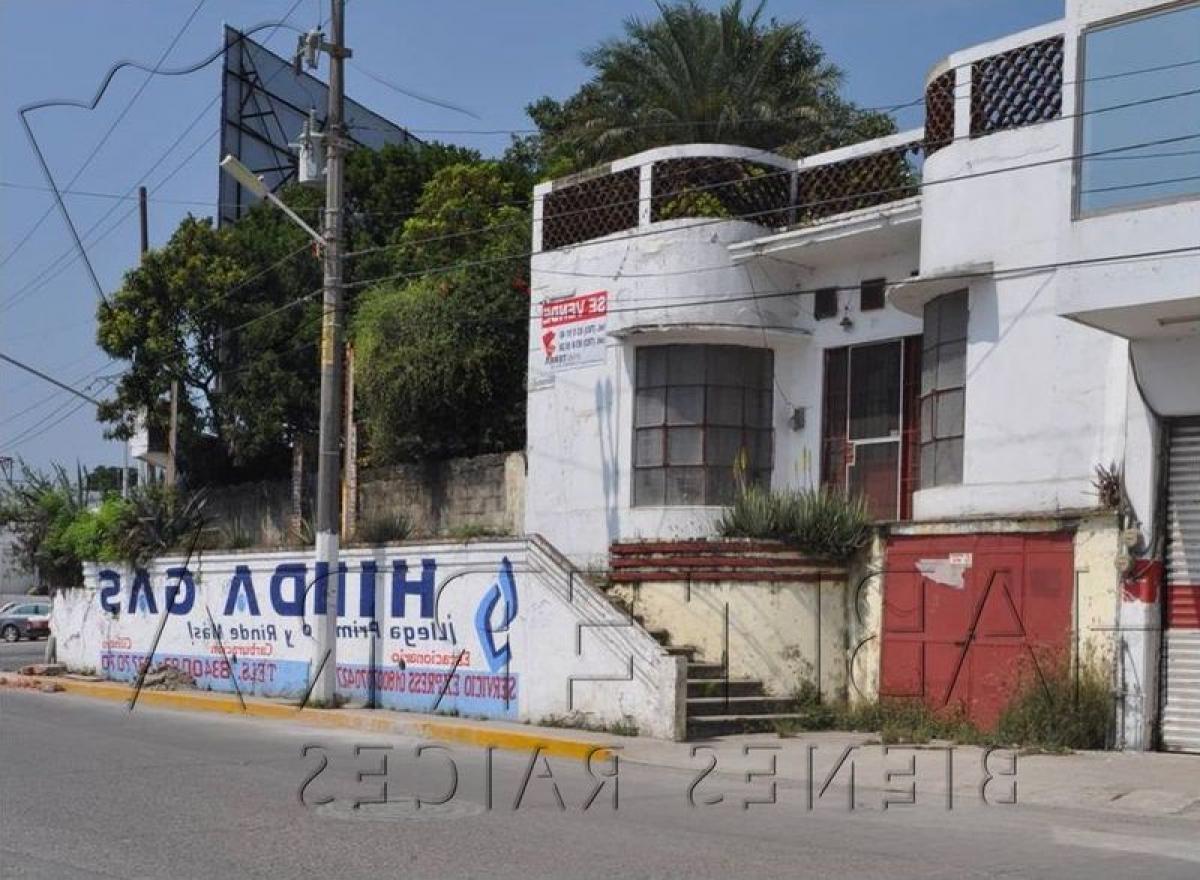  Land in Veracruz, Mexico No. 204126