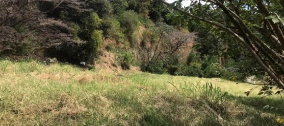 Земельный участок в Сан-Хосе, Коста-Рика № 1713 3