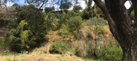 Земельный участок в Сан-Хосе, Коста-Рика № 1713 4