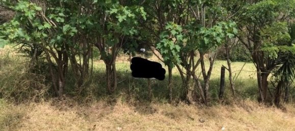 Земельный участок в Сан-Хосе, Коста-Рика № 1713 5