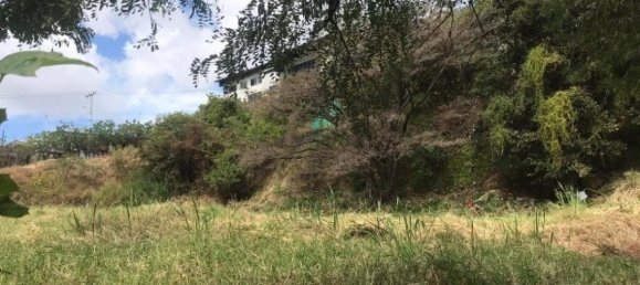 Земельный участок в Сан-Хосе, Коста-Рика № 1713 2