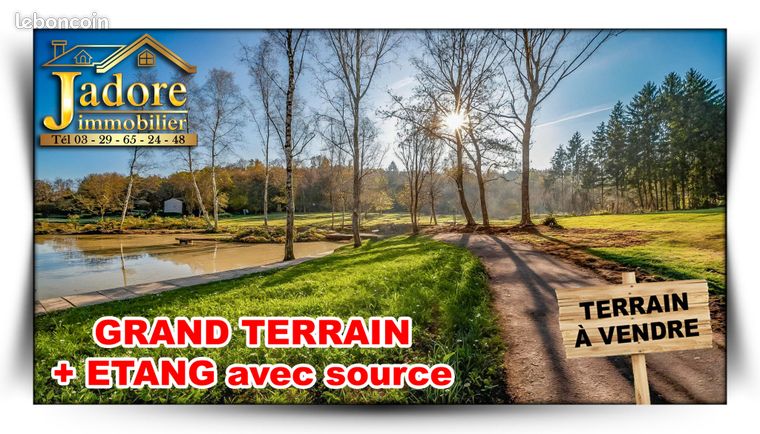 8882m² Land in Saulcy-sur-Meurthe, France No. 105512