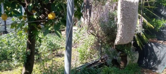 5 rooms Villa in Carrara, Italy No. 51183 3