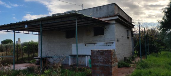 2 rooms House in Bagheria, Italy No. 134737 2