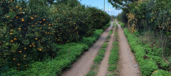 2 rooms House in Bagheria, Italy No. 134737 16