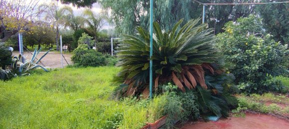 2 rooms House in Bagheria, Italy No. 134737 9