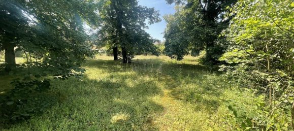 Land in Brunn am Gebirge, Austria No. 162381 9