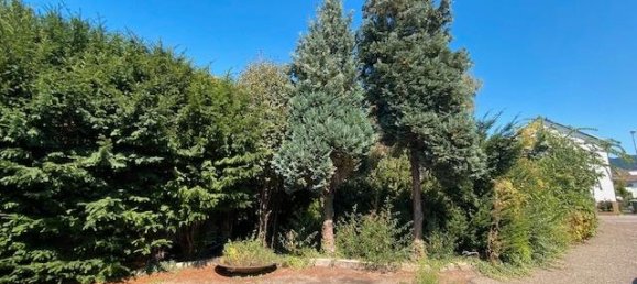 Grundstück in Rhein-Neckar-Kreis, Germany, Nr. 363629 6