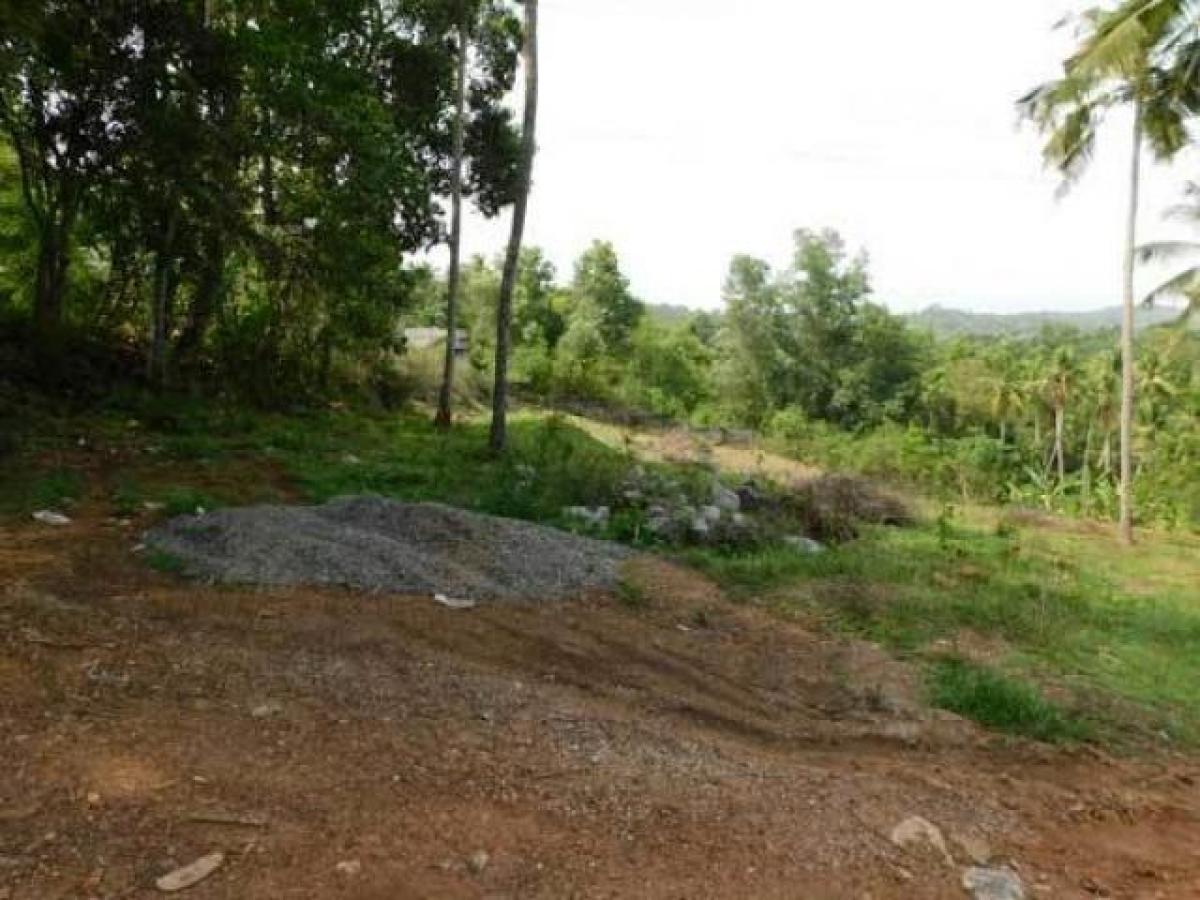  Land in Thiruvananthapuram, India No. 65824