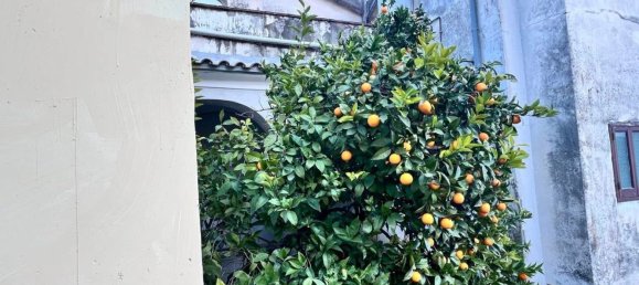 5 rooms House in Giffoni Valle Piana, Italy No. 29387 18