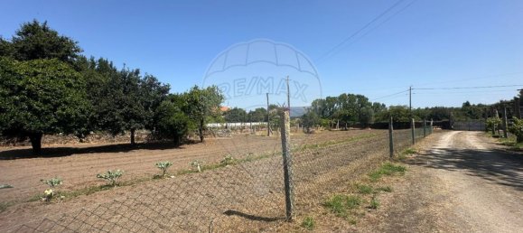 Casa de 3 dormitorios en Viana do Castelo, Portugal No. 70196 23