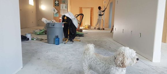 3 rooms Office in Bodenseekreis, Germany No. 62837 29