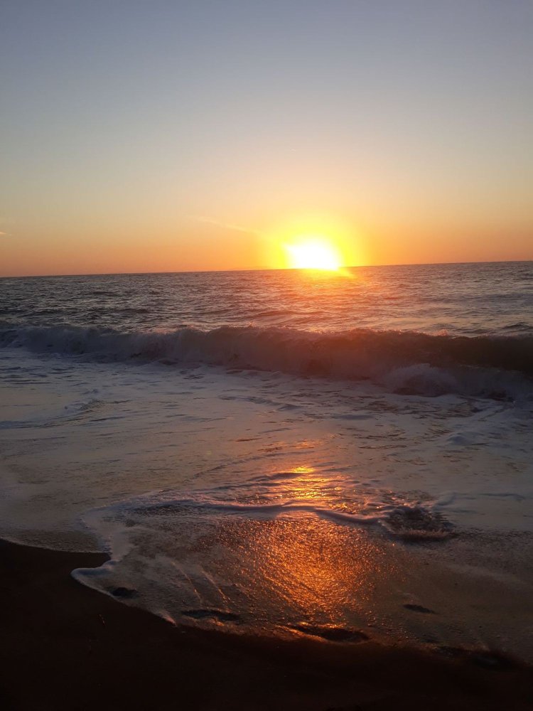 3-salle Appartement à Valledoria, Italy No. 255454