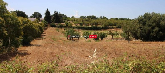 Terrain à Martina Franca, Italy 9800m² No. 295114 3
