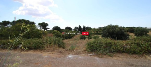 Terrain à Martina Franca, Italy 9800m² No. 295114 4