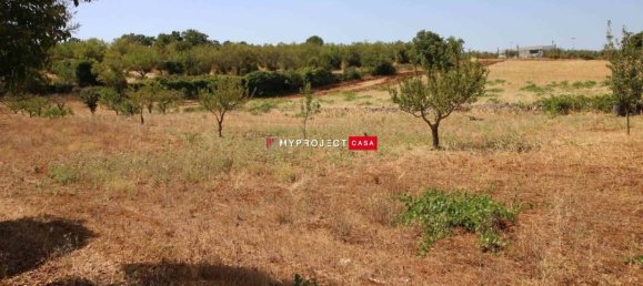 Terrain à Martina Franca, Italy 9800m² No. 295114 7