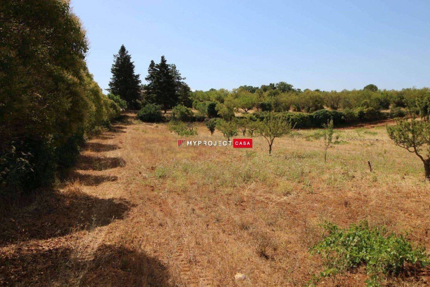 Terrain à Martina Franca, Italy 9800m² No. 295114