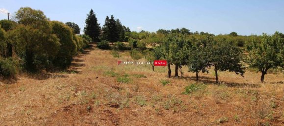 Terrain à Martina Franca, Italy 9800m² No. 295114 6