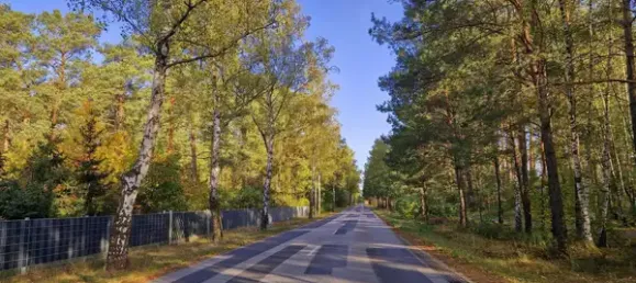  قطعة أرض في Potsdam-Mittelmark, Germany رقم 35432 10