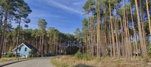  قطعة أرض في Potsdam-Mittelmark, Germany رقم 35432 8