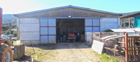 5 غرف نوم منزل في Monteriggioni, Italy رقم 362781 15