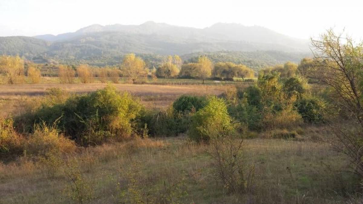  Land in Maule, Chile No. 959