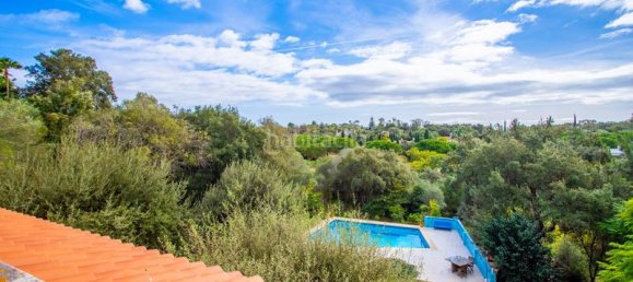 6 bedrooms Villa in Cadiz, Spain No. 29230 25