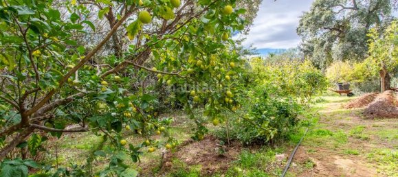 6 bedrooms Villa in Cadiz, Spain No. 29230 40