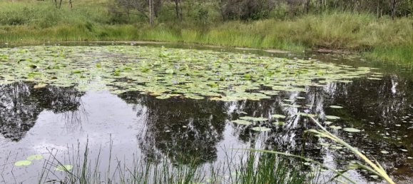  House in Rosedale, Australia No. 988 13