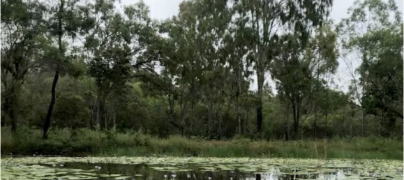  House in Rosedale, Australia No. 988 9