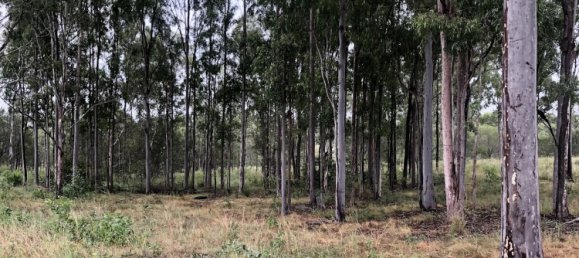  House in Rosedale, Australia No. 988 16