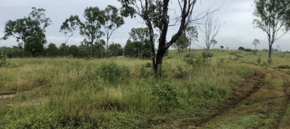  House in Rosedale, Australia No. 988 6