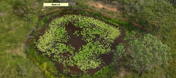  House in Rosedale, Australia No. 988 8