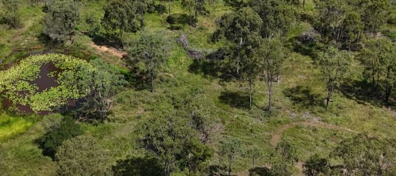  House in Rosedale, Australia No. 988 10