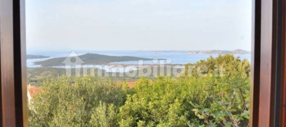 1 bedroom Apartment in Tempio Pausania, Italy No. 255544 12