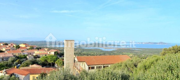 1 bedroom Apartment in Tempio Pausania, Italy No. 255544 5