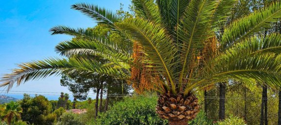 2 bedrooms Villa in Alicante, Spain No. 179445 10