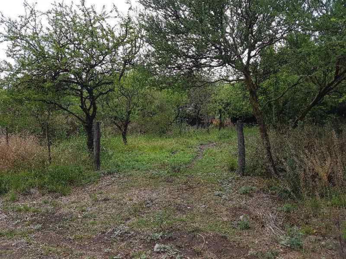 Grundstück in Cordoba, Argentina, Nr. 31541