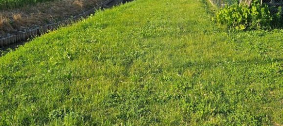 4 rooms House in Monastier di Treviso, Italy No. 206181 38