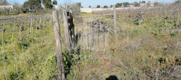  قطعة أرض في Palmela, Portugal رقم 95873 10