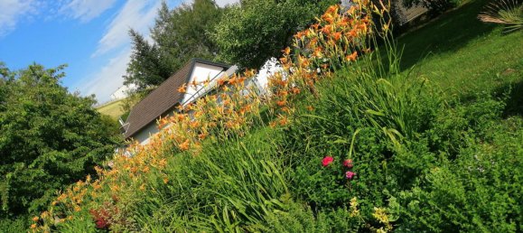 7 rooms House in Sieggraben, Austria No. 234754 2