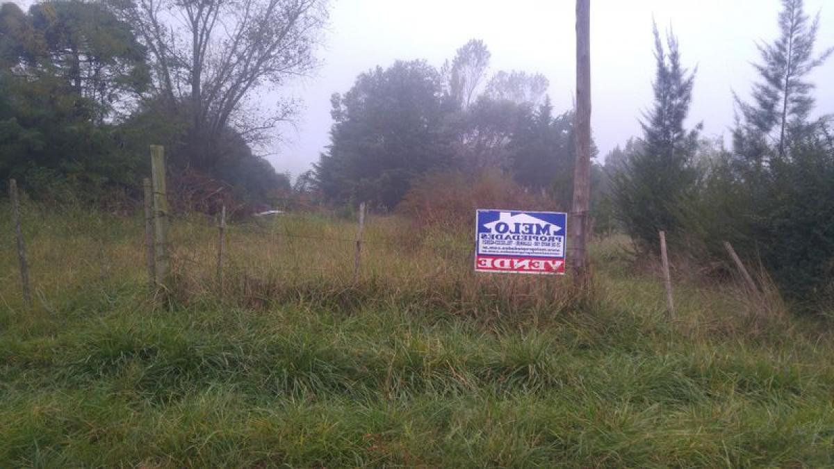 Terrain à Buenos Aires, Argentina No. 116989