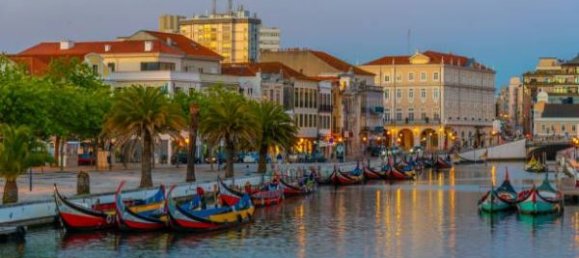  قطعة أرض في Oliveira do Bairro, Portugal 2115متر مربع رقم 57013 2