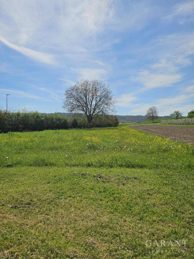 Grundstück in Konstanz, Germany, Nr. 2581