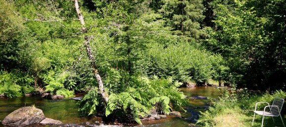 4 chambres Maison à Saint-Saud-Lacoussière, France No. 340939 2