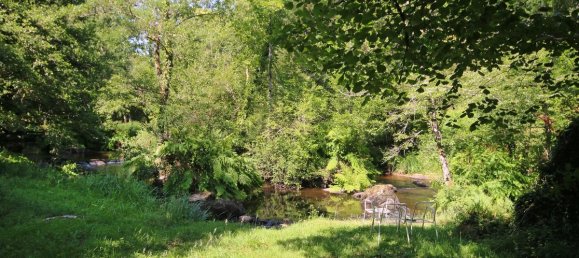 4 chambres Maison à Saint-Saud-Lacoussière, France No. 340939 19