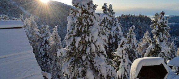 Коммерческая недвижимость 146м² в Райхенау, Австрия № 142623 9